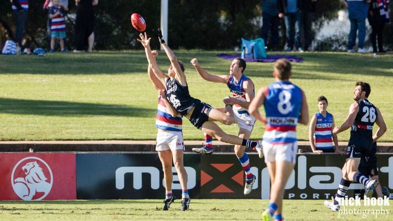 Panthers Pair Nominated for Goal and Mark of the Week! Panthers Pair Nominated for Goal and Mark of the Week!